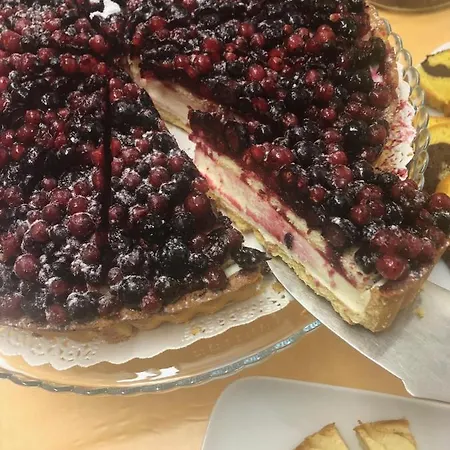 Argo 2* Римини