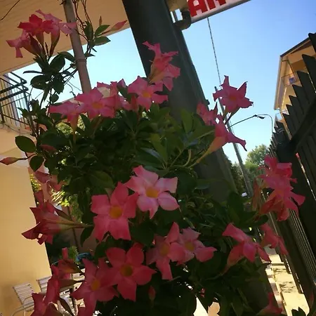 Argo Rimini