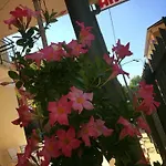 Argo Rimini